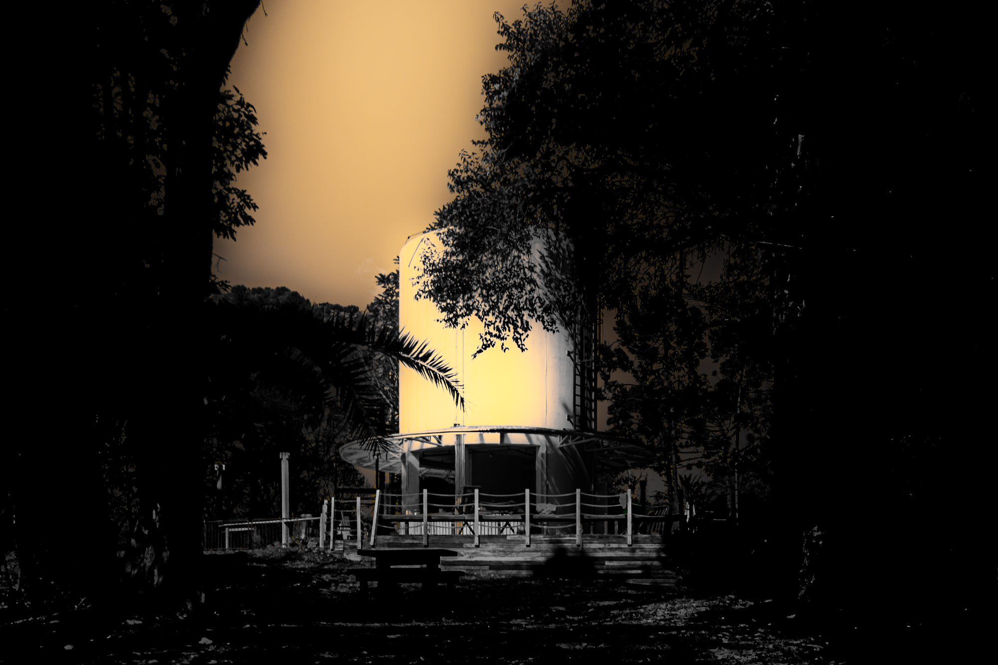 Parque do Ibirapuera
