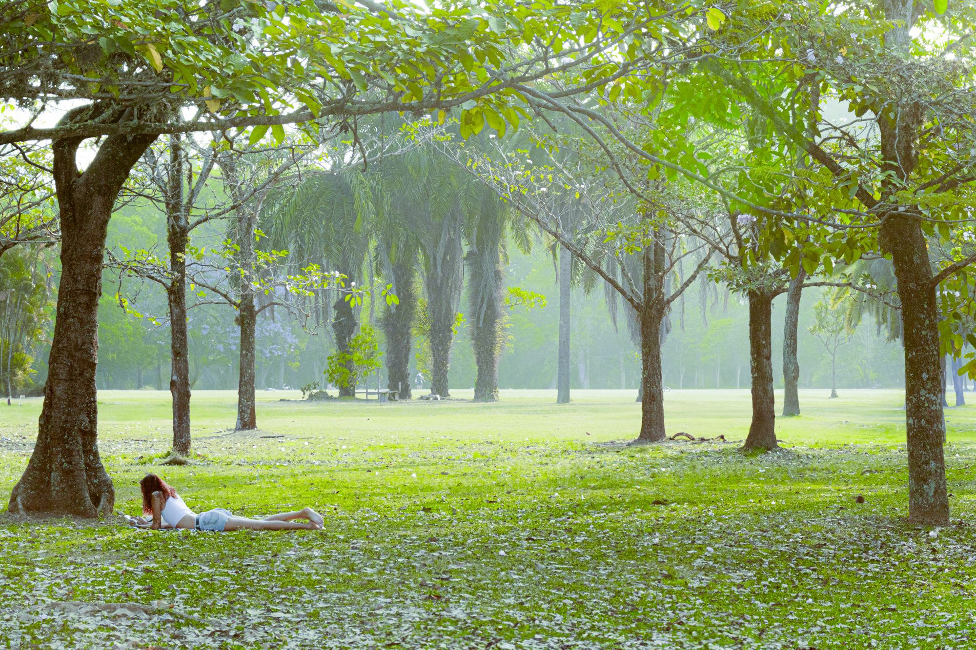 Parque do Ibirapuera São Paulo
